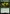 Glowing One (Surge Foil) [Fallout] - Card Brawlers