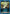 Gobta (040) (UE20BT/TSK-1-040) - UE20BT That Time I Got Reincarnated as a Slime - Card Brawlers