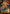 Goofy - Galumphing Gumshoe (Enchanted) (223/204) [Whispers in the Well] - Card Brawlers