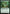 Greenhouse Propagator (FRA-104) - Reality Fracture - Card Brawlers