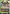 Gundam AGE-2 Normal (SP Ver.) (GD05-024) - Freedom Ascension - Card Brawlers