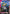 Gundam Rose (GD05-044) - Freedom Ascension - Card Brawlers