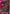 Gundam Throne Eins (GN High Mega Launcher) (GD05-038) - Freedom Ascension Holofoil - Card Brawlers
