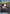 Hange Zoe (038) (UEX07BT/AOT-2-038) - UEX07BT Attack on Titan Vol 2 - Card Brawlers