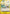 Hino Bird Zap (Luffy Deck) (OP05-116) - Set Sail Deck Set - Card Brawlers