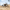 HIYA TOYS - Starship Troopers - 1/12 Scale None Scale 5.3 Inch - Warrior Bug - (PREORDER) September 30, 2027 - Card Brawlers