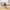 HIYA TOYS - Starship Troopers - 1/12 Scale None Scale 5.3 Inch - Warrior Bug - (PREORDER) September 30, 2027 - Card Brawlers