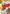 Inuyasha (043) (U*) (UE23BT/IYS-1-043) - UE23BT Inuyasha Foil - Card Brawlers
