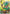 Ivern - Green Father (002/003) - Secret Garden Foil - Card Brawlers
