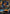 Jayce - Defender of Tomorrow (Signature) (194*/166) - Vendetta Foil - Card Brawlers