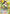 Kagome Higurashi (066) (SR**) (UE23BT/IYS-1-066) - UE23BT Inuyasha Foil - Card Brawlers