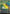 Kwia Vigorbloom (Showcase) (Fracture Foil) (0420) (FRA-420) - Reality Fracture Foil - Card Brawlers