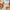 LEGO - Botanicals - Water Lilies - Building Kit - 11511 - Card Brawlers