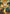 Lightning Bolt Art Card [Strixhaven: School of Mages Art Series] - Card Brawlers