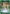 Meeting (UE20BT/TSK-2-072) - UE20BT That Time I Got Reincarnated as a Slime - Card Brawlers