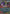 Mega GEngar ex (056/094) [Mega Evolution: Phantasmal Flames] - Card Brawlers