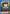 Mikasa Ackermann (046) (UEX07BT/AOT-2-046) - UEX07BT Attack on Titan Vol 2 - Card Brawlers