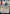 Mizzix's Mastery (Japanese Foil Etched) [Strixhaven: School of Mages Mystical Archive] - Card Brawlers