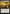 Nesting Grounds (Extended Art) (Surge Foil) [Fallout] - Card Brawlers