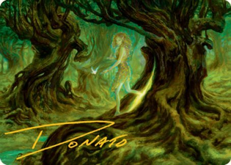 Neverwinter Dryad Art Card (Gold - Stamped Signature) [Dungeons & Dragons: Adventures in the Forgotten Realms Art Series] - Card Brawlers