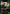 Pacifica Netrunner (084) - Welcome to Night City Retail - Card Brawlers