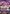 Perona - OP06-093 (SP) (OP06-093) - The Azure Sea's Seven Foil - Card Brawlers