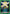 Ramiris (067) (UE20BT/TSK-2-067) - UE20BT That Time I Got Reincarnated as a Slime - Card Brawlers