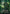 Roiling Canopy (Borderless) (FRA-380) - Reality Fracture Foil - Card Brawlers