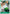 Roronoa Zoro (035) (OP17-035) - The World's Strongest Warriors - Card Brawlers