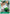Roronoa Zoro (035) (OP17-035) - The World's Strongest Warriors Release Event Cards - Card Brawlers