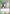 Shizuka Yoshimoto (061) (UE21BT/RLY-1-061) - UE21BT The 100 Girlfriends Who Really Really Really Really REALLY Love You - Card Brawlers