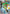 Snivy (049/null) - Holofoil [ME Mega Evolution Promo] - Card Brawlers