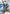 Strike Freedom Gundam (LR++) (GD05-002) - Freedom Ascension Holofoil - Card Brawlers