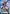 Strike Rouge (Ootori) (GD05-005) - Freedom Ascension Holofoil - Card Brawlers