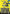 The Sentry, Golden Guardian (Borderless) (MSH-358) - Marvel Super Heroes - Card Brawlers