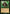 Thragtusk (Timeshifted) [Time Spiral Remastered] - Card Brawlers