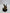 Warhammer 40k - Death Guard - Biologus Putrifier (USED) (2) - Card Brawlers