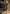 You Come to the Gnoll Camp Art Card (Gold-Stamped Signature) (ASAFR-042) - Art Series: Adventures in the Forgotten Realms - Card Brawlers