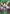 Marvelous Sunday (CSD01-014EN) [Ready, Set, Umamusume!] - Card Brawlers | Quebec | Canada | Yu-Gi-Oh!