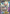 Magearna EX (110/114) [XY: Steam Siege] - Card Brawlers | Quebec | Canada | Yu-Gi-Oh!