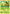 Combee (9/98) [XY: Ancient Origins] - Card Brawlers | Quebec | Canada | Yu-Gi-Oh!