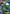 Rayquaza EX (104/108) [XY: Roaring Skies] - Card Brawlers | Quebec | Canada | Yu-Gi-Oh!