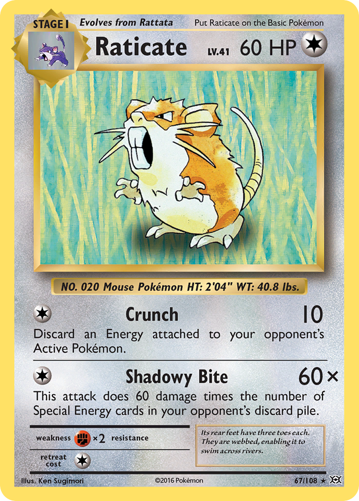 Raticate (67/108) [XY: Evolutions] - Card Brawlers | Quebec | Canada | Yu-Gi-Oh!