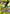 Primal Kyogre EX (96/98) [XY: Ancient Origins] - Card Brawlers | Quebec | Canada | Yu-Gi-Oh!