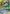 Venusaur & Snivy GX (SM229) [Sun & Moon: Black Star Promos] - Card Brawlers | Quebec | Canada | Yu-Gi-Oh!