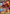 Volcanion EX (107/114) [XY: Steam Siege] - Card Brawlers | Quebec | Canada | Yu-Gi-Oh!