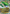 Rayquaza EX (60/108) [XY: Roaring Skies] - Card Brawlers | Quebec | Canada | Yu-Gi-Oh!